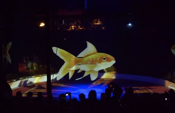 ologrammi animali circo