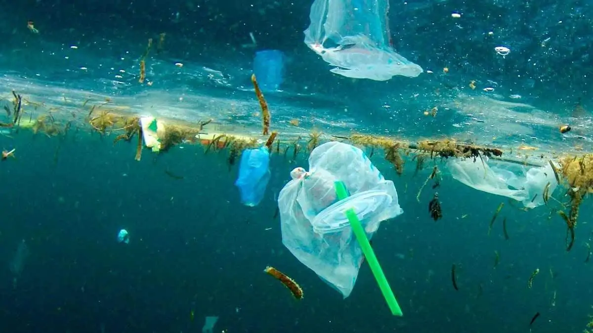plastica mare oceano inquinamento