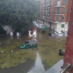 Maltempo a Torino, violento nubifragio si abbatte su San Mauro: un gattino ucciso dalla furia di pioggia e grandine [FOTO]