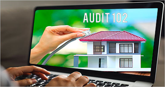 AUDIT102 ENEA