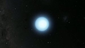 stella J1539