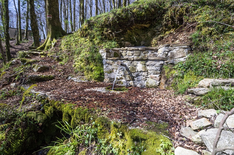 aspromonte sentiero fontane