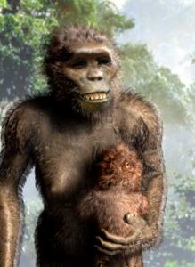 australopithecus 