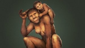 australopithecus