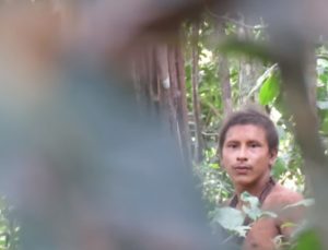 tribù amazzonia awa