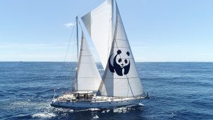 blue panda week wwf
