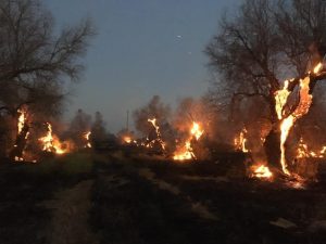 incendi salento