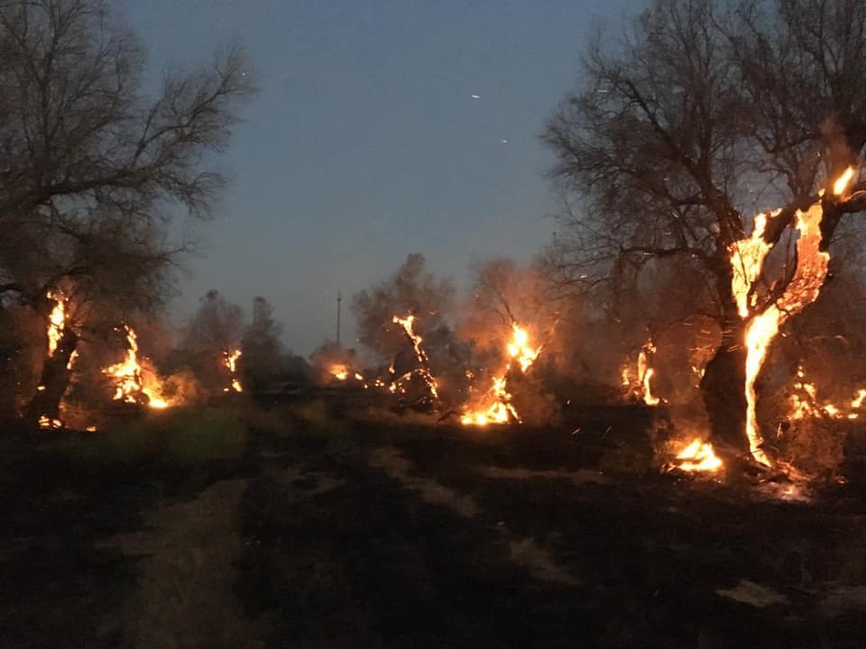 incendi salento