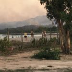 Sardegna, incendio fuori controllo a Tortolì: centinaia di evacuati, “bastardi, vigliacchi e criminali: sono mani assassine” [FOTO e VIDEO]