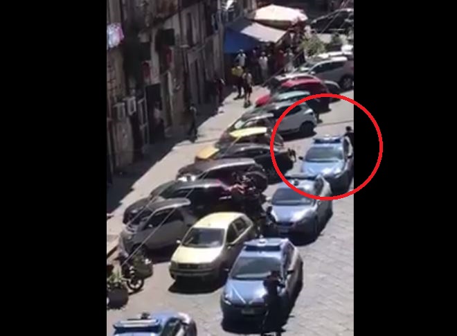 poliziotto uccide pitbull napoli