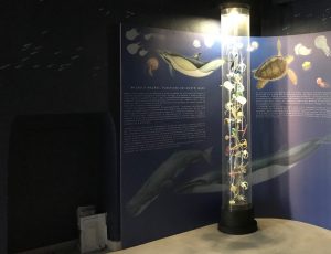 santa teresa di gallura wwf