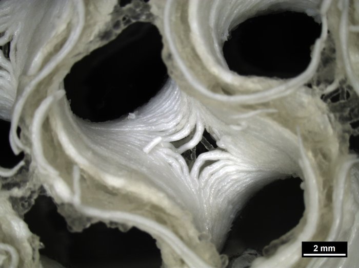 stampa pelle ossa 3D spazio