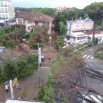 Maltempo, tornado devasta Milano Marittima: abbattuti 2.200 pini secolari, case e auto distrutte [FOTO e VIDEO]