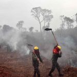 Incendi Amazzonia, l’esperto: “Dai roghi sostanze inquinanti che alterano il clima” [GALLERY]