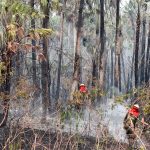 Incendi Amazzonia, l’esperto: “Dai roghi sostanze inquinanti che alterano il clima” [GALLERY]