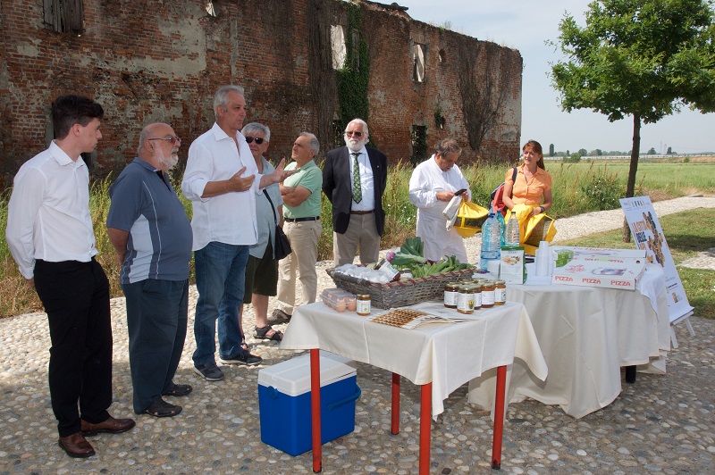 città delle api a58-teem