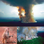 Amazzonia devastata dagli incendi, 72.000 roghi da Gennaio: interi ettari rasi al suolo e animali carbonizzati, brucia il polmone verde del mondo [FOTO]