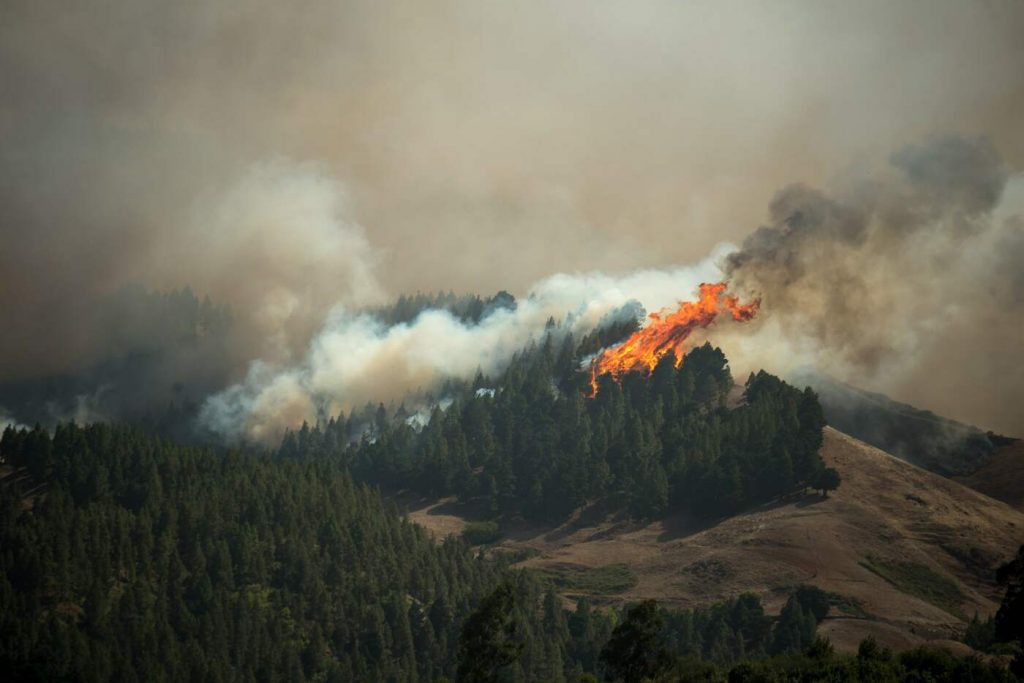 Spagna, vasto incendio a Gran Canaria