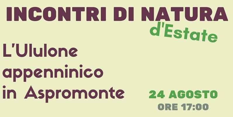 ululone