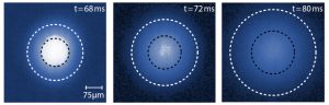 asimmetria quantistica