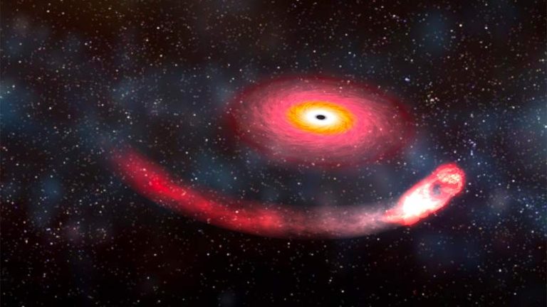 buco nero ingoia stella di neutroni