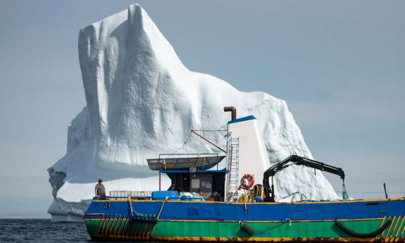 cacciatori iceberg