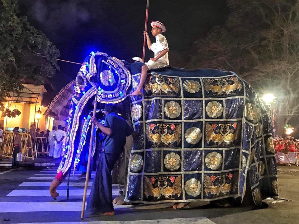 elefantessa festival buddista