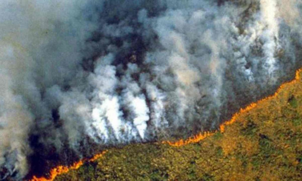 incendi/o/amazzonia