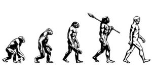 homini evoluzione