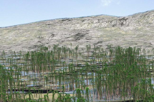 foresta fossile
