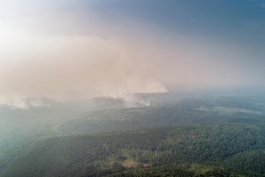 incendi siberia