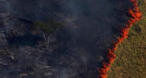 incendi amazzonia