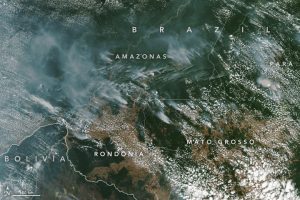 incendi amazzonia