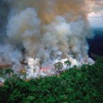 Incendi Amazzonia, si accende una speranza per il polmone verde del mondo: Bolsonaro pronto a inviare l’esercito [LIVE]