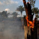 L’Amazzonia brucia a tassi senza precedenti: incendi innescati dall’uomo che possono accelerare il riscaldamento globale [FOTO e VIDEO]