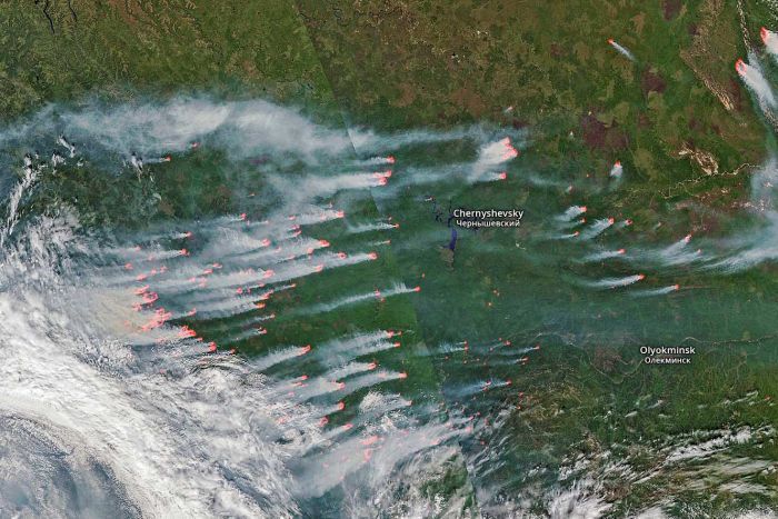 incendi siberia