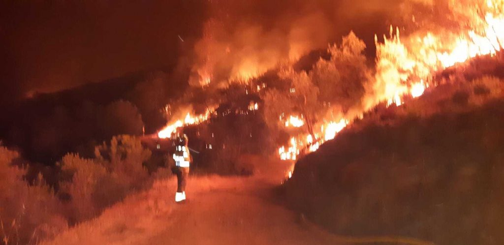 fiamme