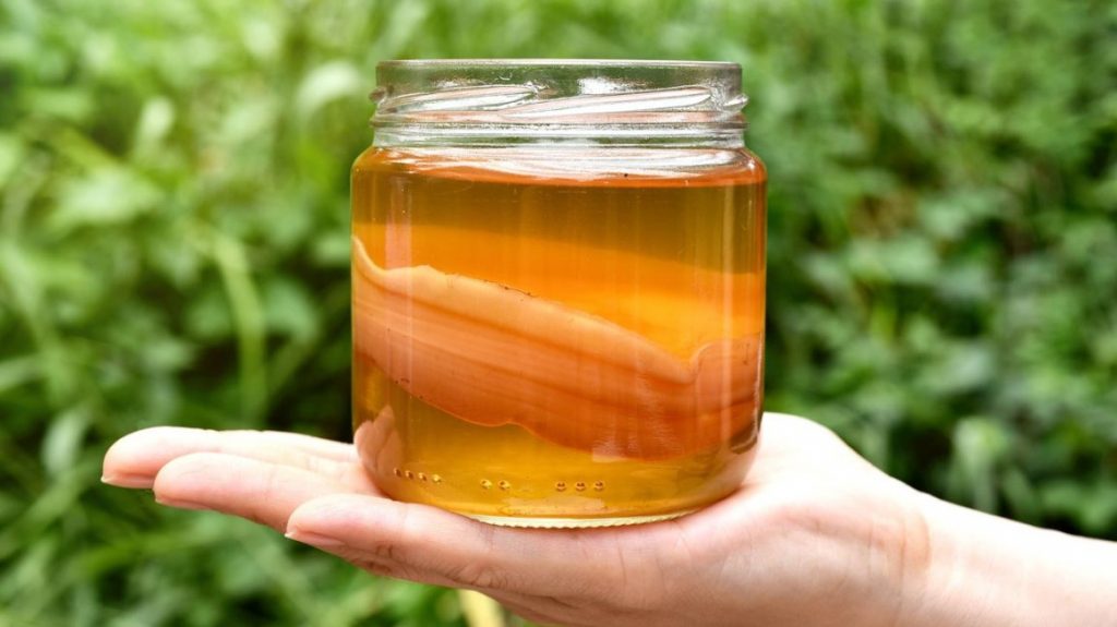 kombucha