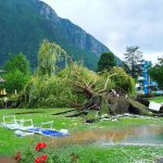 Maltempo, nubifragio a Bolzano: alberi sradicati e danni, paura tra i turisti [FOTO e VIDEO LIVE]