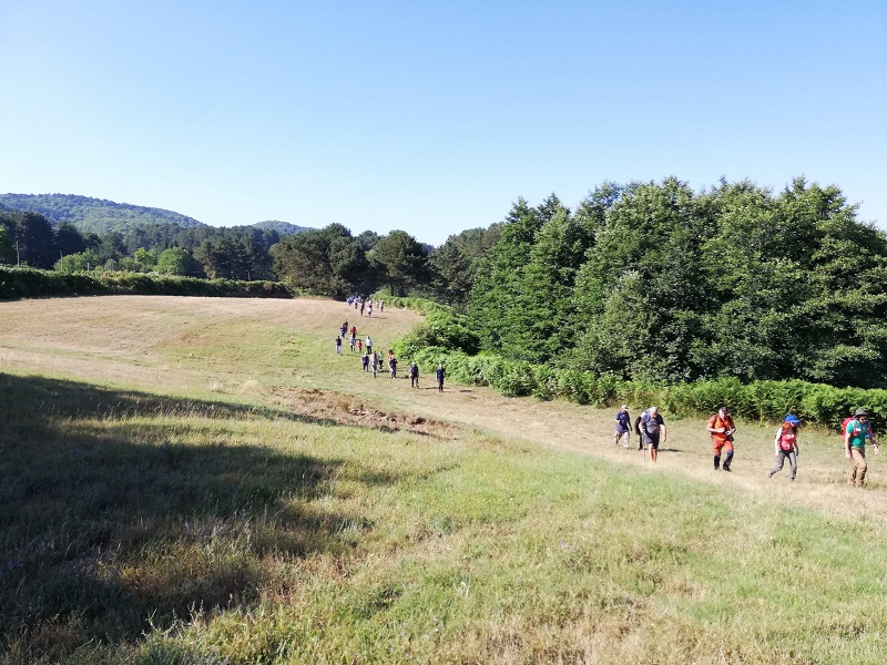 parco aspromonte
