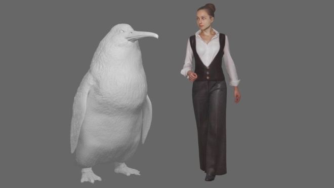 pinguino gigante freddo