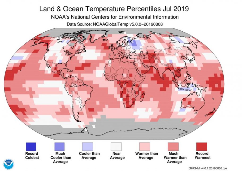 temperature luglio 2019