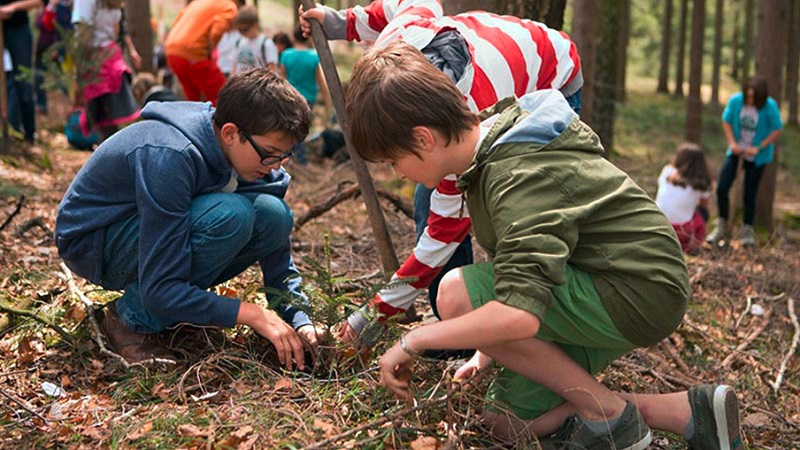 Plant for the Planet