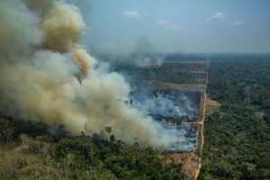 Amazzonia