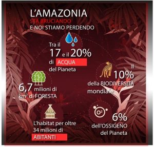 amazzonia