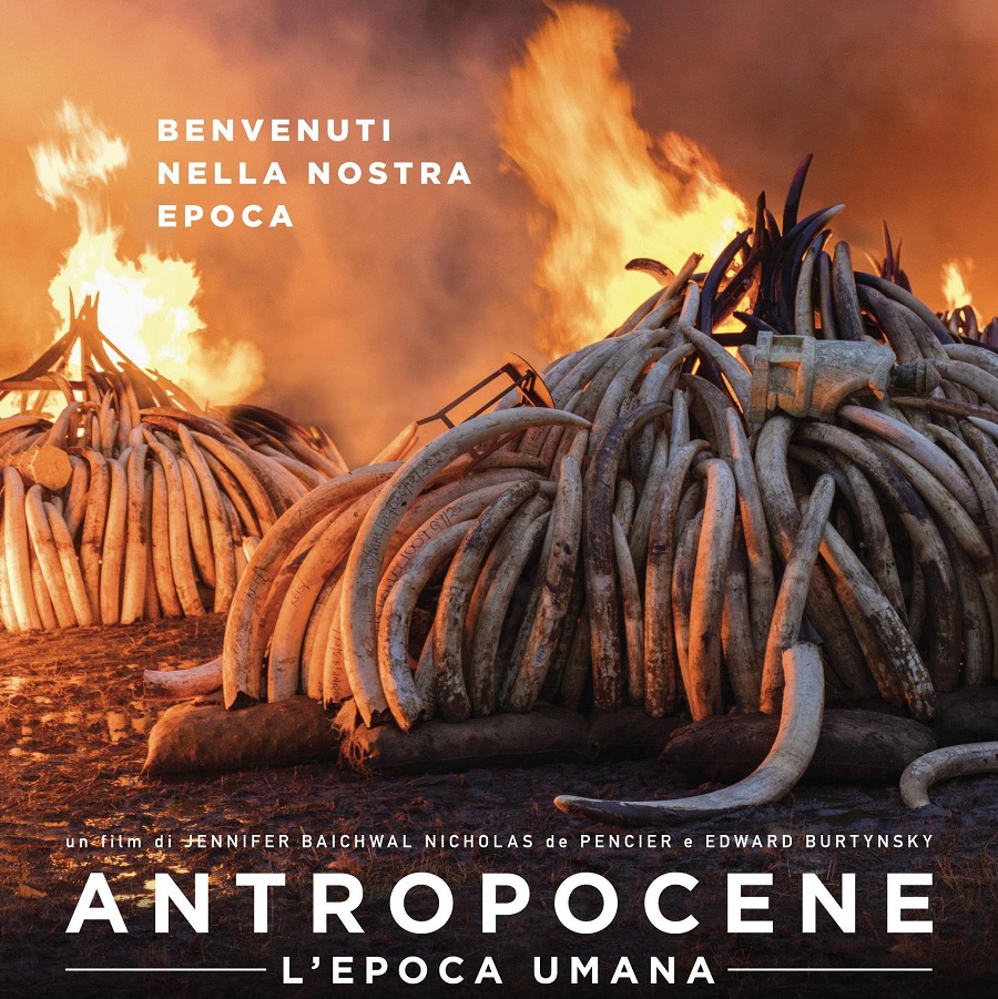 antropocene