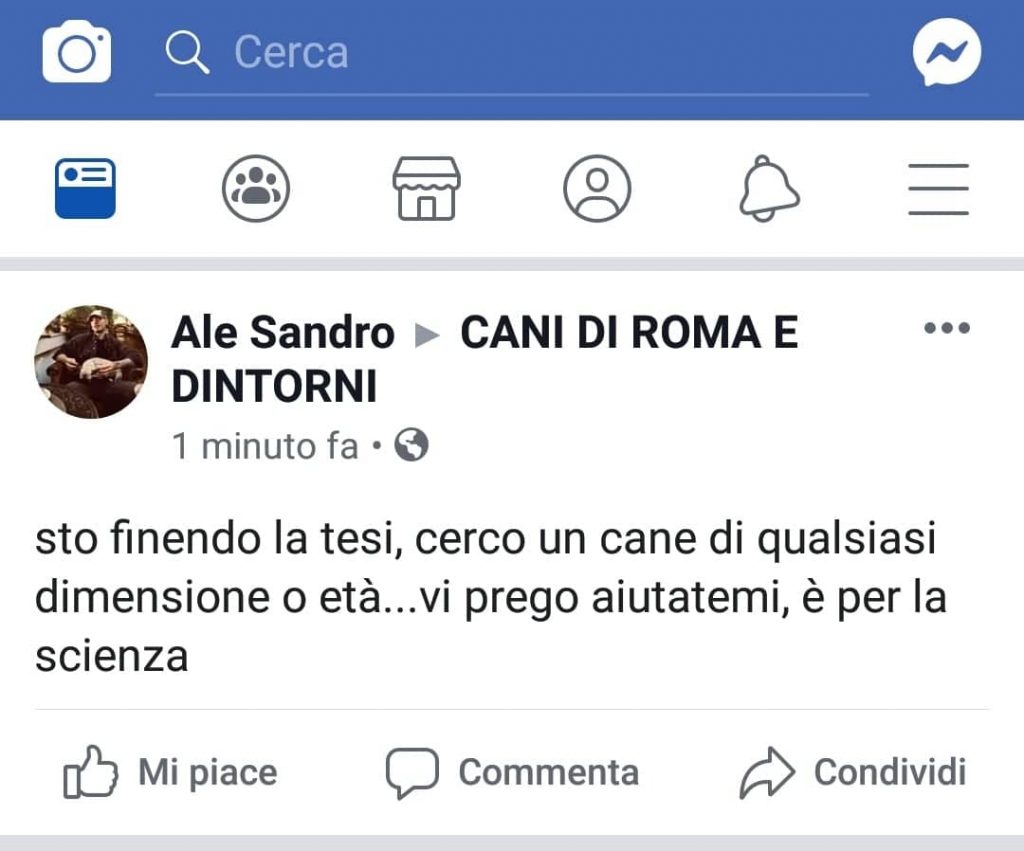 cane aidaa