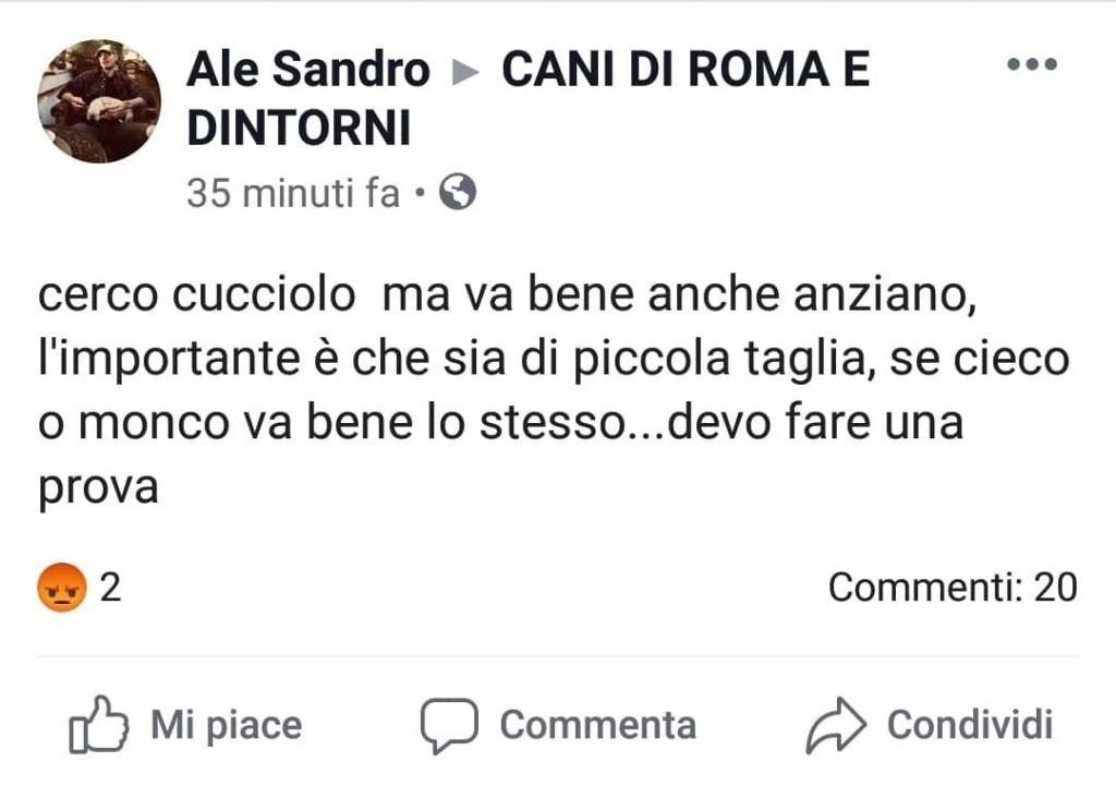 cane aidaa