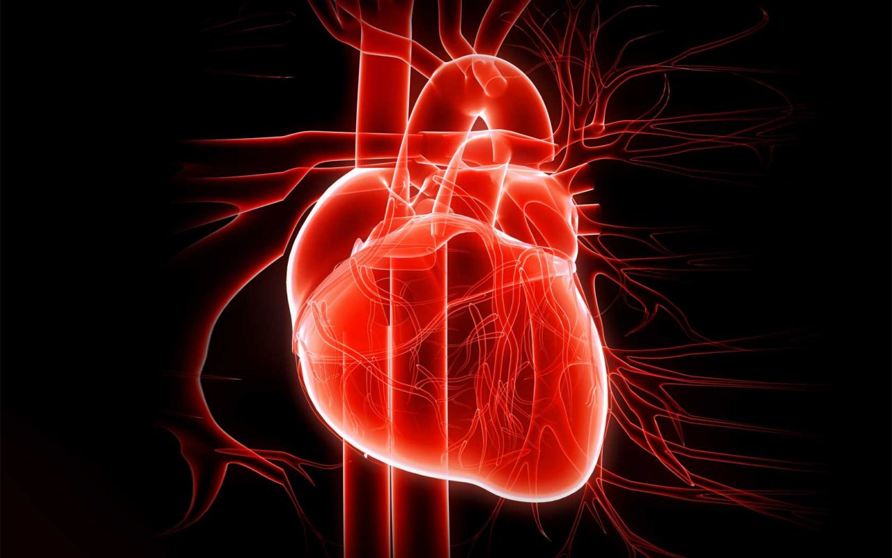 crepacuore colesterolo cuore