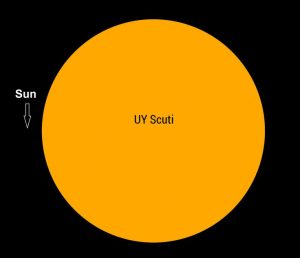 curiosità scientifiche